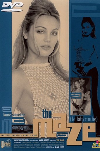 Poster of The Maze