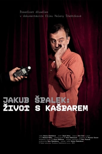 Poster of Život s Kašparem