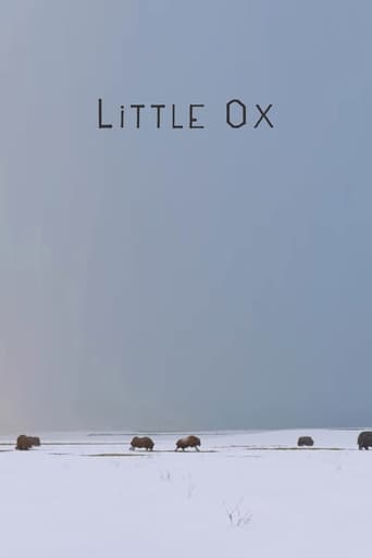 Poster of Little Ox