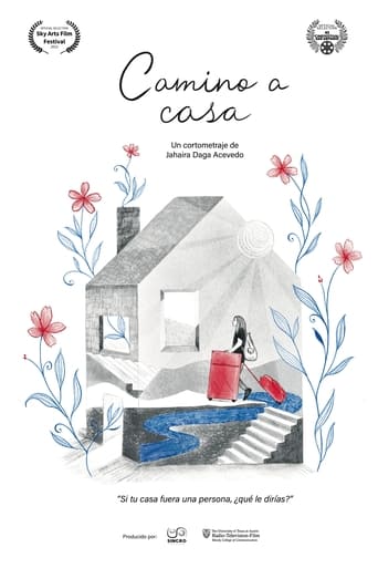 Poster of Camino a casa