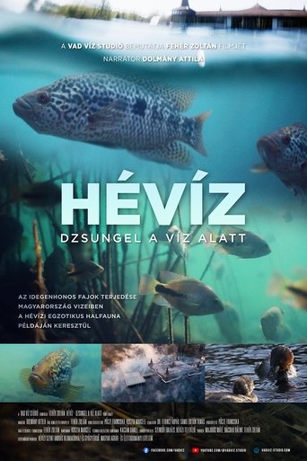 Poster of Hévíz − Dzsungel a víz alatt