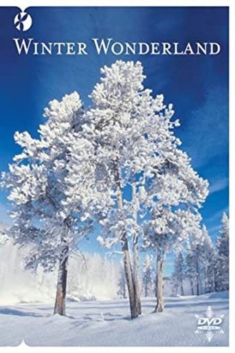 Poster of Winter Wonderland