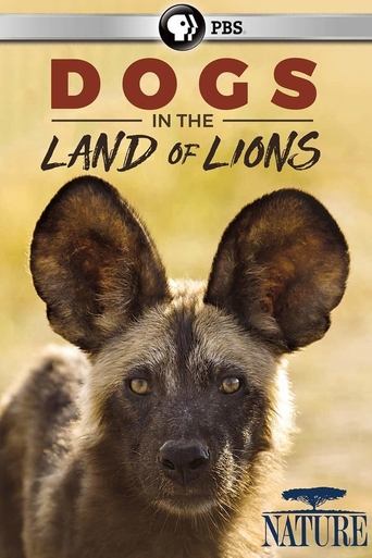 Poster of Dogs in the Land of Lions