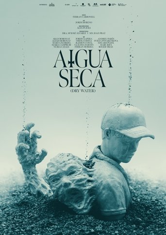 Poster of Aigua seca