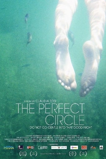 Poster of The Perfect Circle