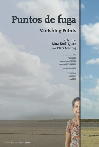 Poster of Vanishing Points