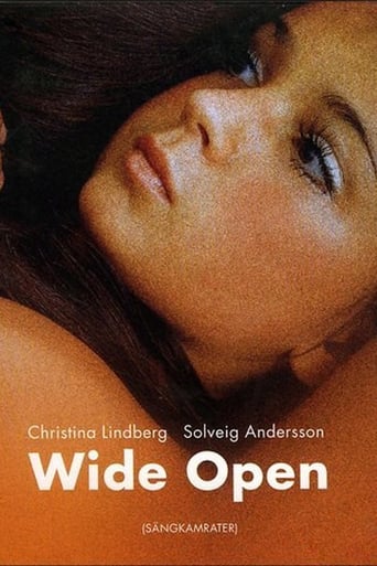 Poster of Wide Open