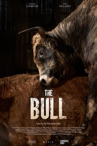 Poster of The Bull