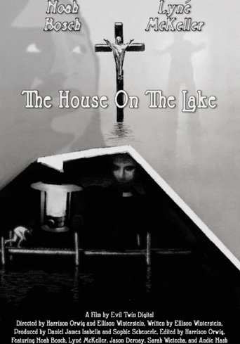 Poster of The House On The Lake