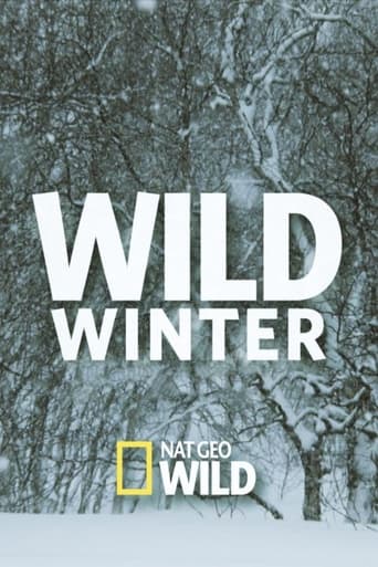 Poster of Wild Winter