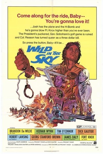 Poster of Wild in the Sky