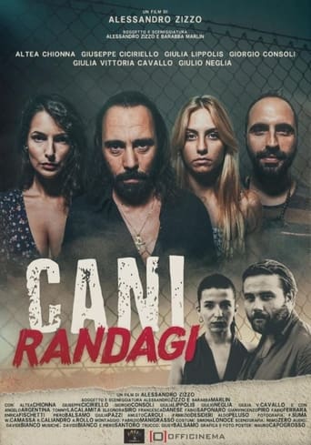 Poster of Cani randagi