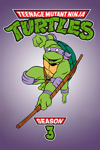 Portrait for Teenage Mutant Ninja Turtles - Season 3