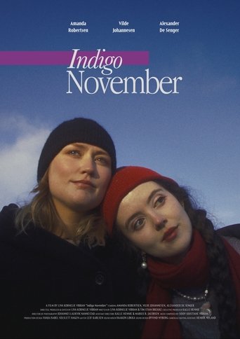 Poster of Indigo November