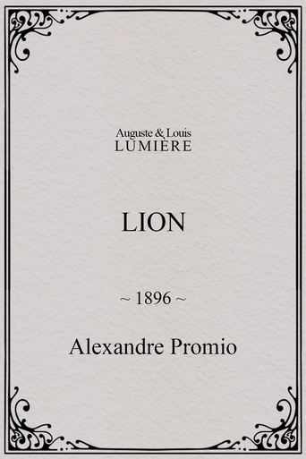 Poster of Lion, London Zoological Gardens