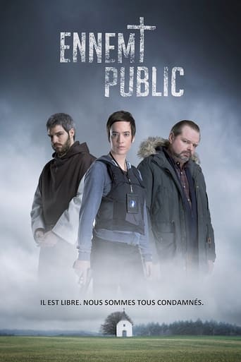 Poster of Public Enemy