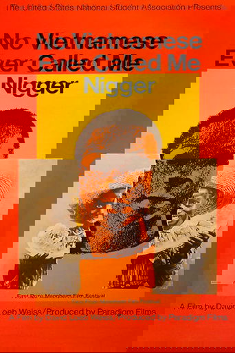 Poster of No Vietnamese Ever Called Me Nigger