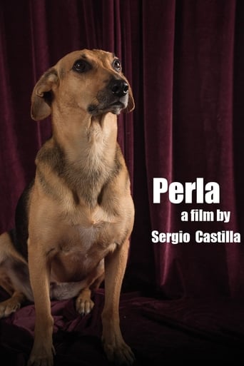 Poster of Perla