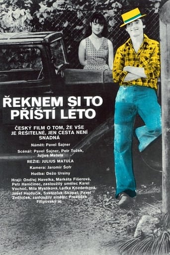 Poster of Řeknem si to příští léto