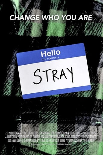 Poster of Stray