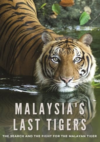 Poster of Malaysia's Last Tigers