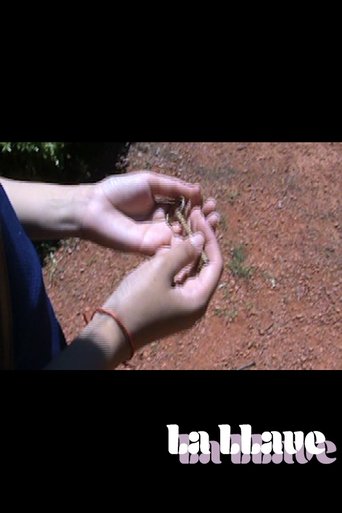 Poster of The Key
