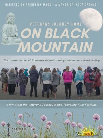 Poster of Veterans Journey Home: On Black Mountain