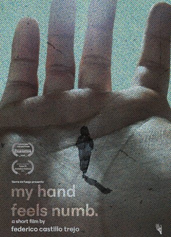 Poster of My Hand Feels Numb.