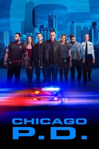 Portrait for Chicago P.D. - Season 7