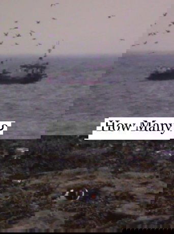 How Many? Poster of How Many?