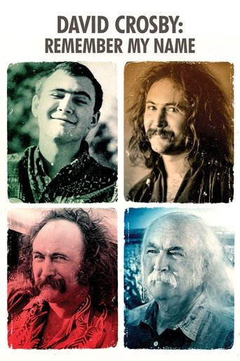 Poster of David Crosby: Remember My Name