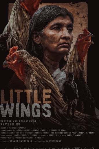 Poster of Little Wings 2022