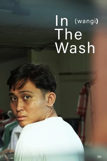 Poster of In The Wash