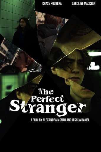 Poster of The Perfect Stranger