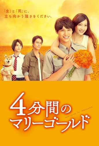 Marigold in 4 Minutes Poster of Marigold in 4 Minutes