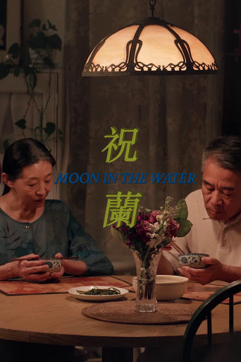 Poster of Moon in the Water