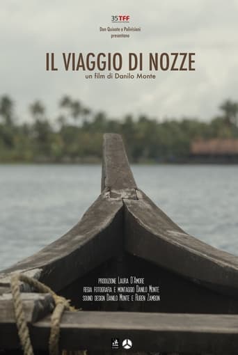 Poster of Il viaggio di nozze