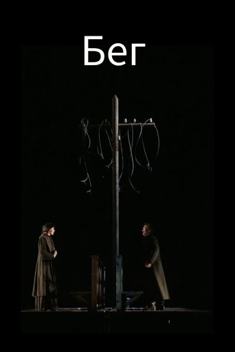 Poster of The Run