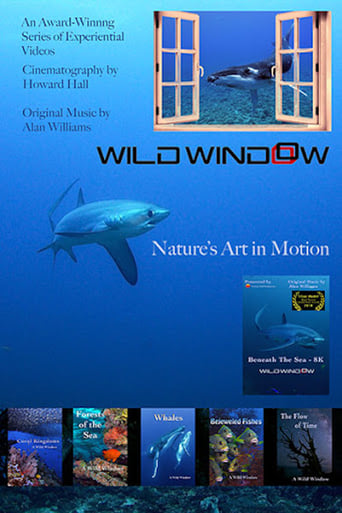 Poster of Wild Window