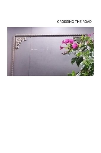 Crossing the road Poster of Crossing the road