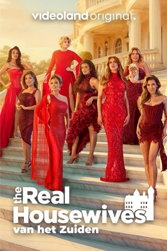 Poster of The Real Housewives van het Zuiden