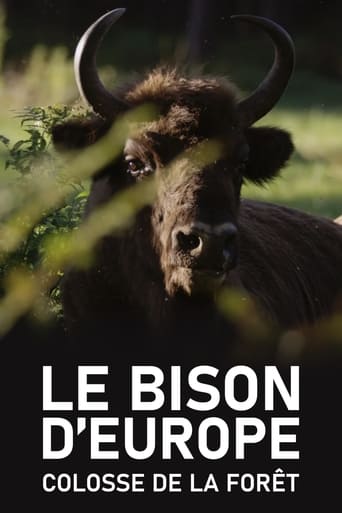 Poster of Le Bison d'Europe, colosse de la forêt