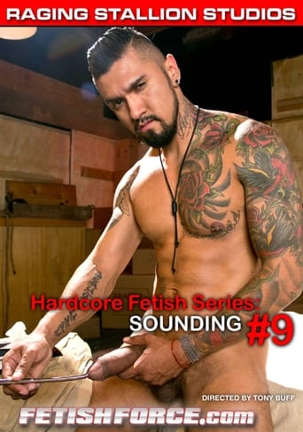 Poster of Sounding 9