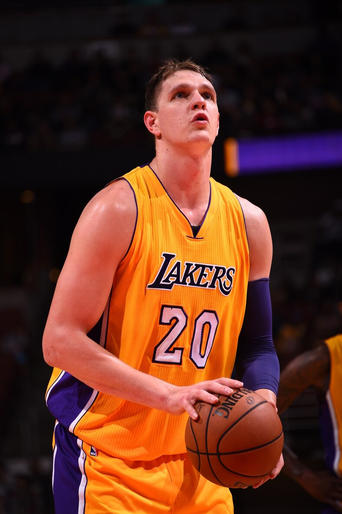 Portrait of Timofey Mozgov