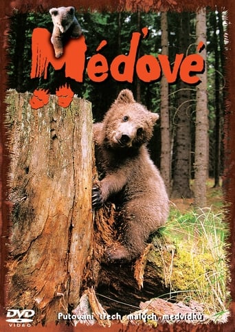 Poster of Méďové