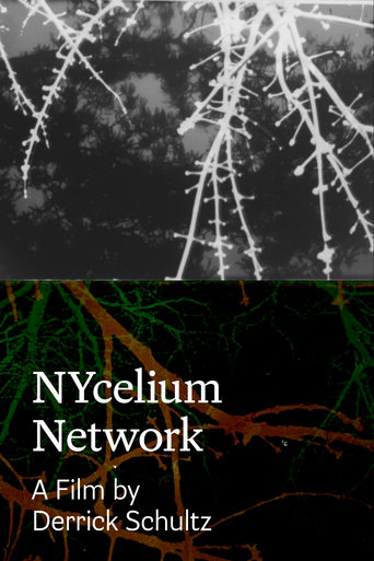 Poster of NYcelium Network