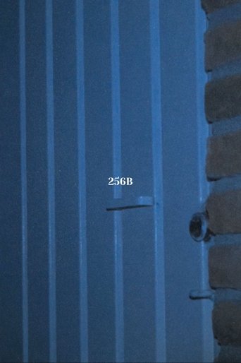 Poster of 256B