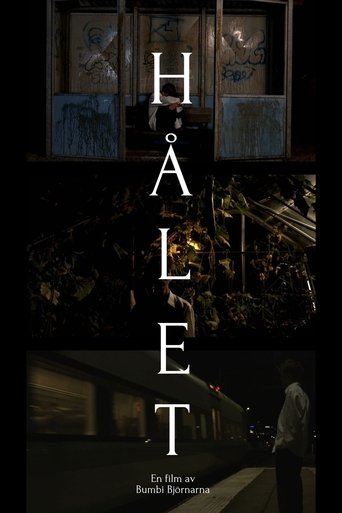 Poster of Hålet