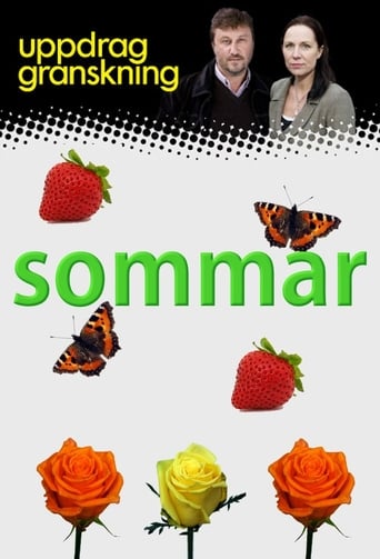 Poster of Uppdrag granskning sommar