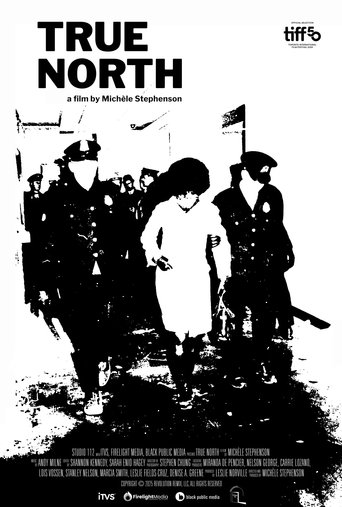 Poster of True North